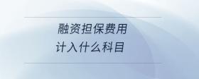 融資擔(dān)保費(fèi)用計入什么科目