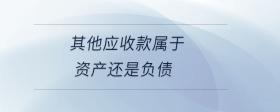 其他應收款屬于資產(chǎn)還是負債
