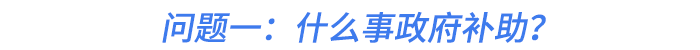 問(wèn)題一：什么事政府補(bǔ)助？