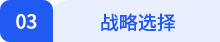 戰(zhàn)略03