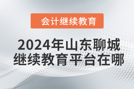 2024年山東聊城會(huì)計(jì)繼續(xù)教育平臺(tái)在哪？