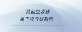 其他應(yīng)收款屬于應(yīng)收賬款嗎