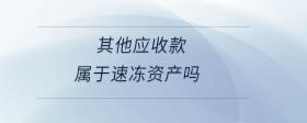 其他應(yīng)收款屬于速凍資產(chǎn)嗎