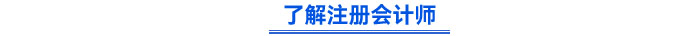 了解注冊會計師