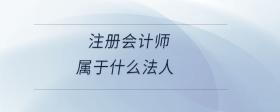 注冊會計(jì)師屬于什么法人