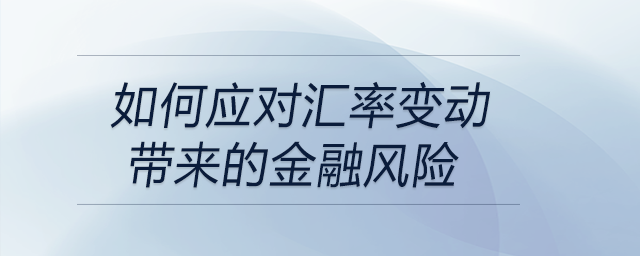 如何應(yīng)對(duì)匯率變動(dòng)帶來的金融風(fēng)險(xiǎn)