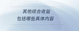 其他綜合收益包括哪些具體內(nèi)容