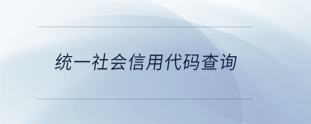 統(tǒng)一社會信用代碼查詢
