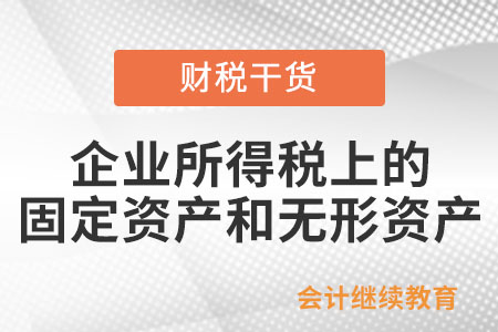 企業(yè)所得稅上的固定資產(chǎn)和無形資產(chǎn)包括什么？