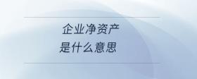 企業(yè)凈資產(chǎn)是什么意思
