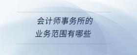 會計師事務(wù)所的業(yè)務(wù)范圍有哪些