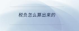稅負(fù)怎么算出來的