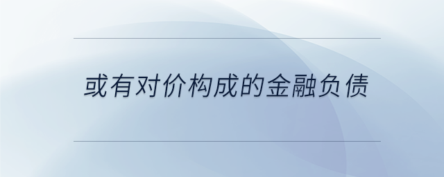 或有對價構(gòu)成的金融負債