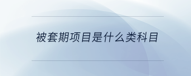 被套期項目是什么類科目