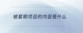 被套期項(xiàng)目的內(nèi)容是什么