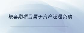 被套期項(xiàng)目屬于資產(chǎn)還是負(fù)債