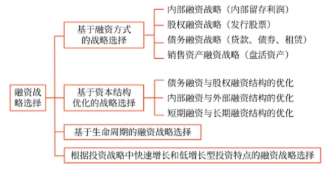 融資戰(zhàn)略選擇