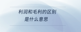 利潤和毛利的區(qū)別是什么意思