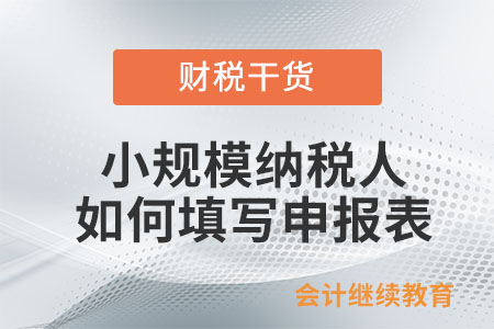 小規(guī)模納稅人享受優(yōu)惠政策，應(yīng)如何填寫申報(bào)表？