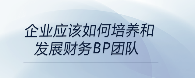 企業(yè)應(yīng)該如何培養(yǎng)和發(fā)展財務(wù)BP團隊
