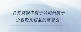 合并財報中有子公司歸屬于少數(shù)股東權(quán)益的商譽么