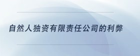 自然人獨(dú)資有限責(zé)任公司的利弊