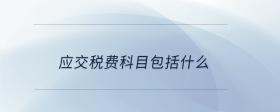 應(yīng)交稅費科目包括什么