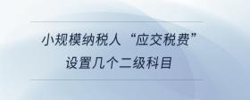 小規(guī)模納稅人“應(yīng)交稅費”設(shè)置幾個二級科目