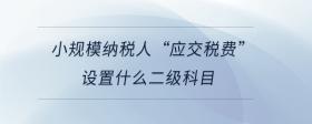 小規(guī)模納稅人“應(yīng)交稅費”設(shè)置什么二級科目