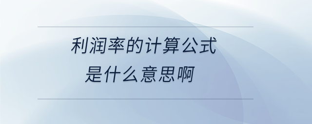 利潤率的計算公式是什么意思啊