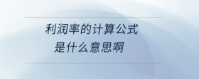 利潤(rùn)率的計(jì)算公式是什么意思啊
