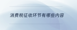 消費(fèi)稅征收環(huán)節(jié)有哪些內(nèi)容