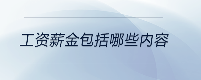 工資薪金包括哪些內容