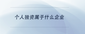 個人獨(dú)資屬于什么企業(yè)