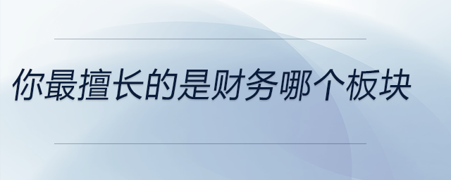 你最擅長的是財務哪個板塊？分享一個成功案例