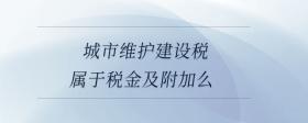 城市維護(hù)建設(shè)稅屬于稅金及附加么