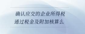 確認(rèn)應(yīng)交的企業(yè)所得稅通過稅金及附加核算么