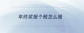 年終獎報個稅怎么報