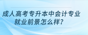成人高考專升本中會(huì)計(jì)專業(yè)就業(yè)前景怎么樣？
