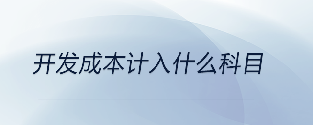 開(kāi)發(fā)成本計(jì)入什么科目