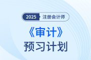 抓住備考主線，遠離無效預(yù)習(xí)！25年注會《審計》預(yù)習(xí)計劃打卡