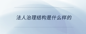 法人治理結(jié)構(gòu)是什么樣的