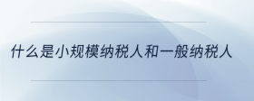 什么是小規(guī)模納稅人和一般納稅人