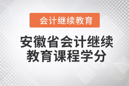 2024年安徽省會(huì)計(jì)繼續(xù)教育課程學(xué)分