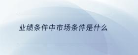 業(yè)績(jī)條件中市場(chǎng)條件是什么
