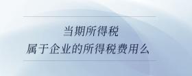 當(dāng)期所得稅屬于企業(yè)的所得稅費(fèi)用么