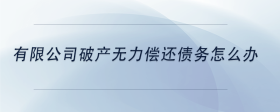 有限公司破產(chǎn)無力償還債務(wù)怎么辦