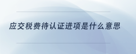 應(yīng)交稅費待認證進項是什么意思