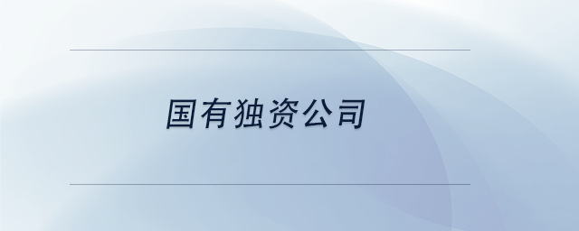 中級會計(jì)國有獨(dú)資公司