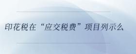 印花稅在“應(yīng)交稅費(fèi)”項(xiàng)目列示么